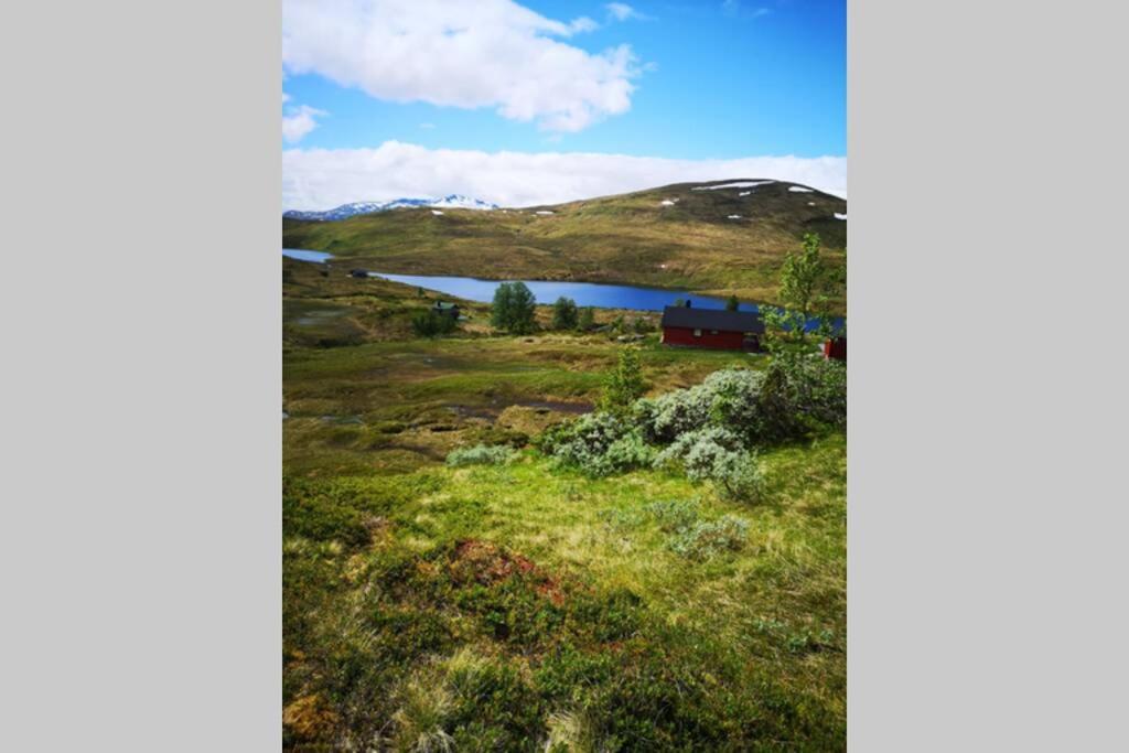 Vila Casa Kleiv I Sogndalsdalen Exteriér fotografie